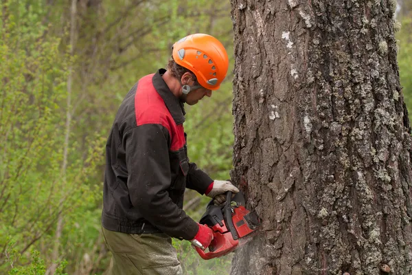 Holzfäller mit Kettensäge — Stockfoto