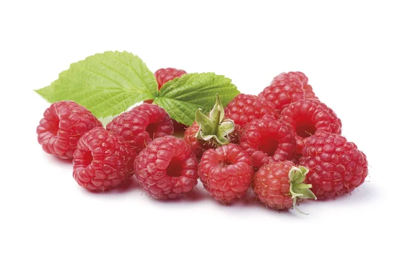 Organic garden raspberries — Stock Photo, Image