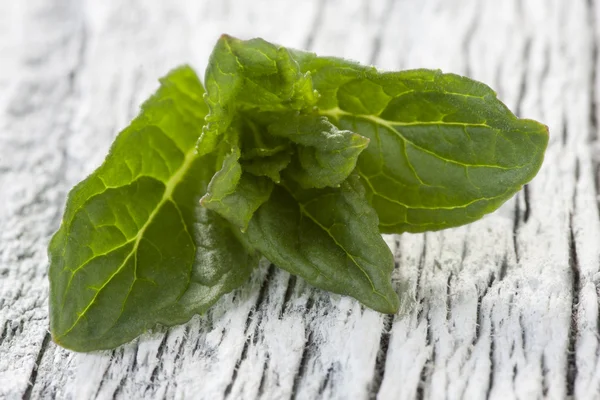 Pfefferminze auf dem Tisch — Stockfoto