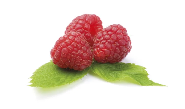 Raspberries with green leaf — Stock Photo, Image