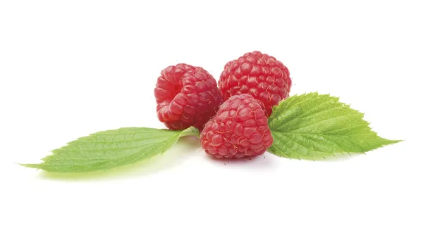 Raspberries with leaf — Stock Photo, Image