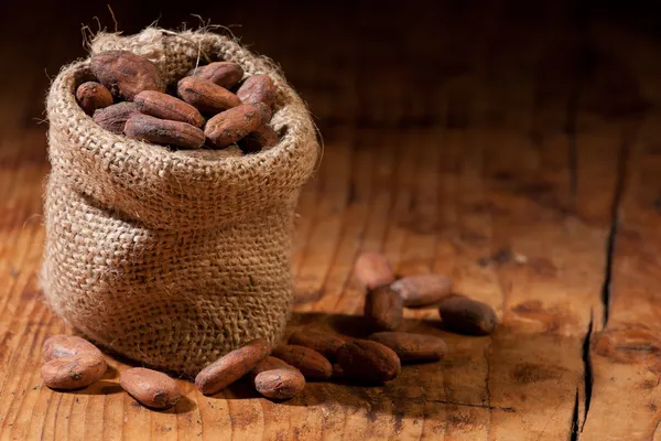 Raw Cocoa — Stock Photo, Image