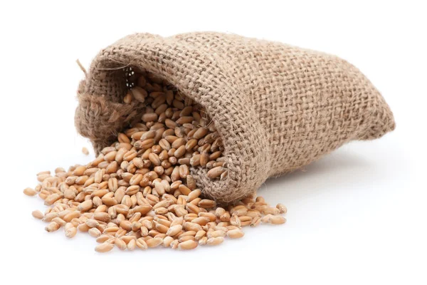 Seed in small burlap sack — Stock Photo, Image