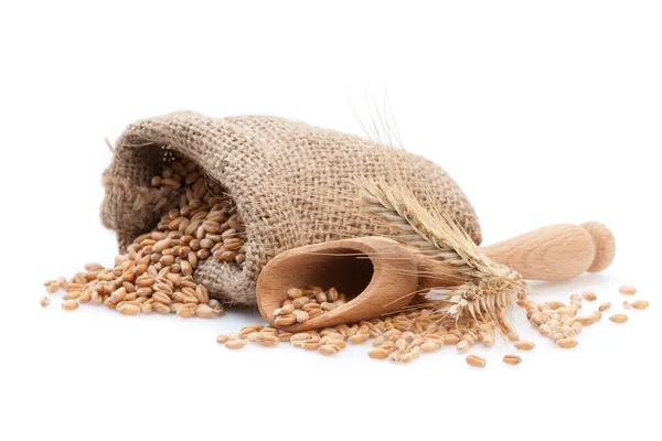 Seed in small burlap sack — Stock Photo, Image