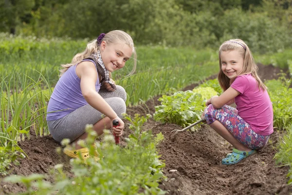 Sisters in garden — Stock Photo, Image