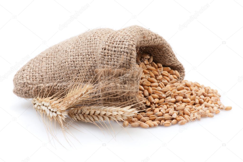 Seed in small burlap sack