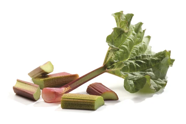 Spring rhubarb — Stock Photo, Image