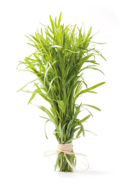 Tarragon herb bunch — Stock Photo, Image
