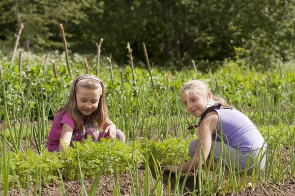 Two Little Gardener — Stock Photo, Image