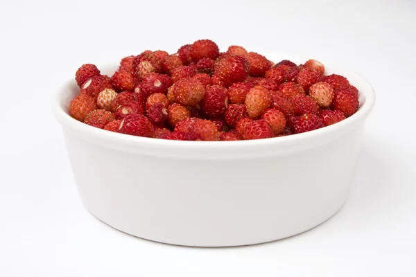 Wild strawberry — Stock Photo, Image