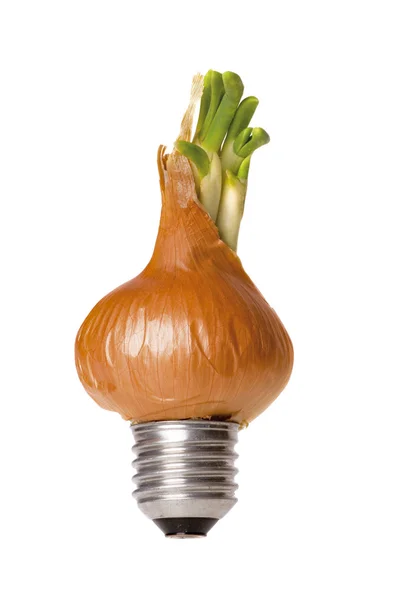 Onion green energy — Stock Photo, Image