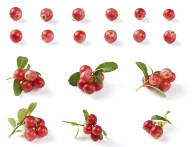 çeşitli cloudberries