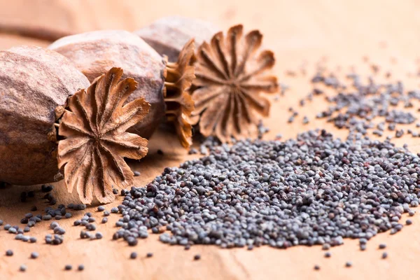 Poppy seeds — Stock Photo, Image