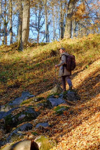 Wandern im Wald — Stockfoto