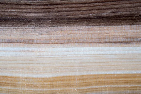 Cross Section Natural Wood Split Log Wooden Texture Photo Light — Stock Photo, Image