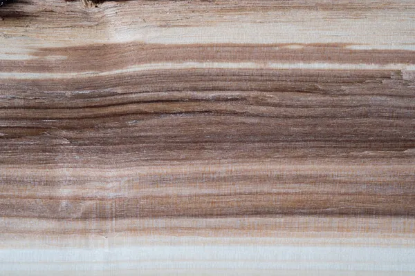 Cross Section Natural Wood Split Log Wooden Texture Photo Light — Stock Photo, Image