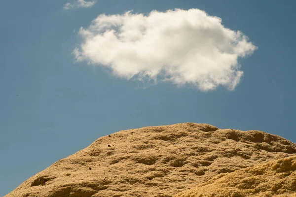 Ein Haufen Kiefernholzspäne Mit Blauem Himmel Hintergrund Festbrennstoff Für Öfen — Stockfoto