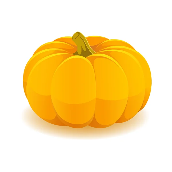 Pumpkin isolated on white background — Stock Vector