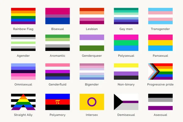 Banderas Orgullo Lgbtq Significado Símbolos Identidad Sexual Mes Del Orgullo — Vector de stock