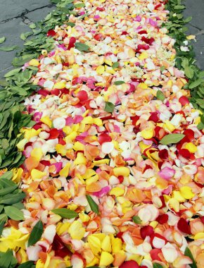 Çiçek Sanat Festivali