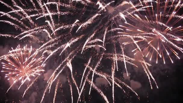 Fuochi artificiali — Video Stock