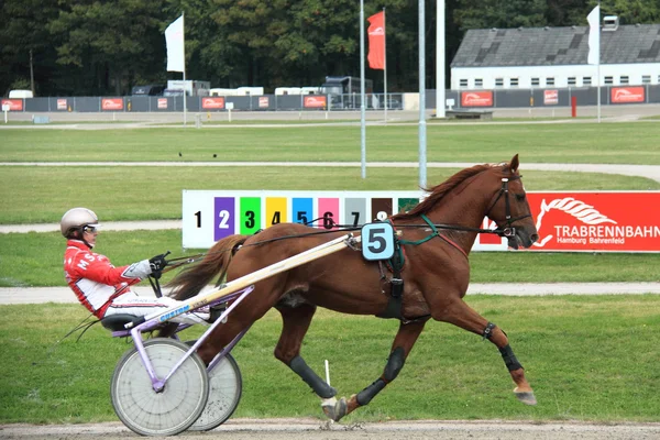 Hipódromo — Fotografia de Stock