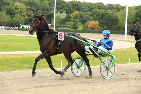 Hipódromo — Fotografia de Stock