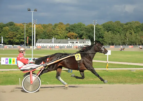 Ippodromo — Foto Stock