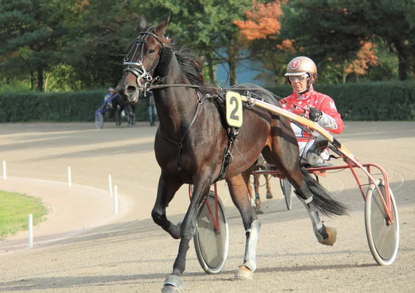 Ippodromo — Foto Stock