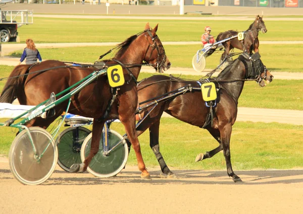 Hipódromo — Fotografia de Stock