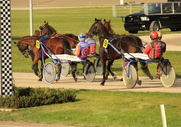 Hipódromo — Fotografia de Stock