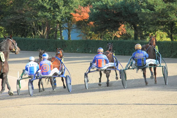 Ippodromo — Foto Stock