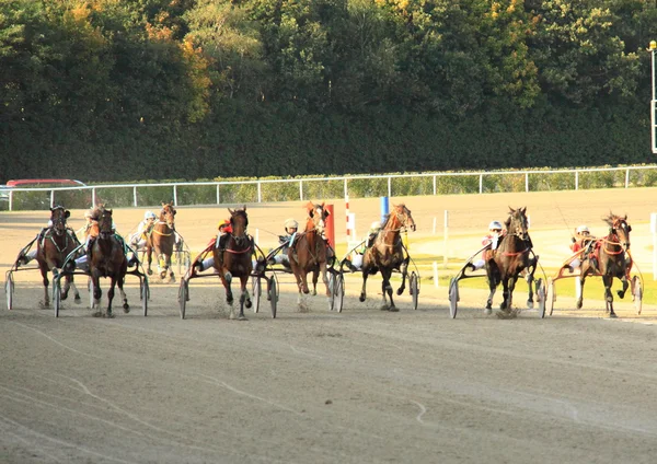 Hipódromo — Foto de Stock