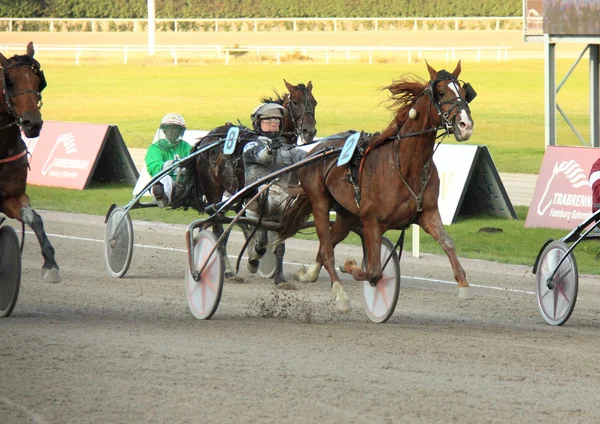 Ippodromo — Foto Stock