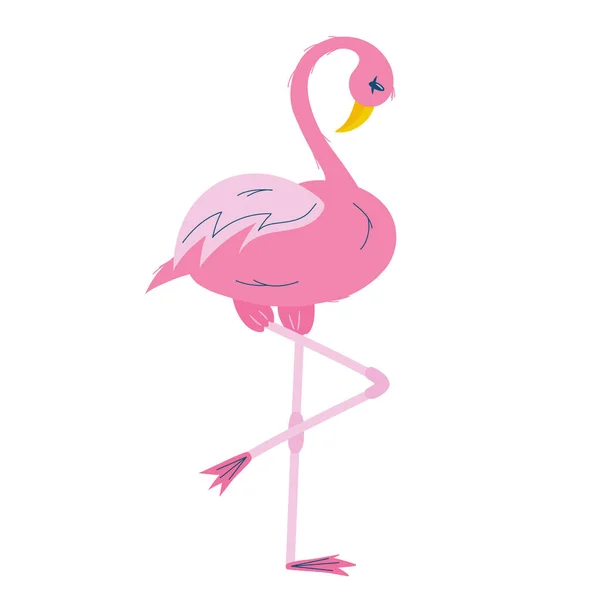 Flamingo rosado aislado sobre fondo blanco.Un pájaro tropical con plumas y pico se apoya sobre una pierna larga. Ilustración vectorial plana — Vector de stock