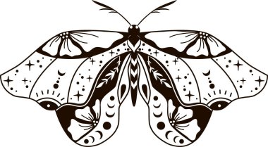Boho night moth line vector set. Beautiful butterfly vector illustration, celestial element illustration. Vector, illustration.