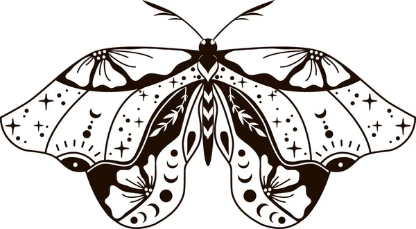 Boho Night Moth Line Vector Set Beautiful Butterfly Vector Illustration — ストックベクタ