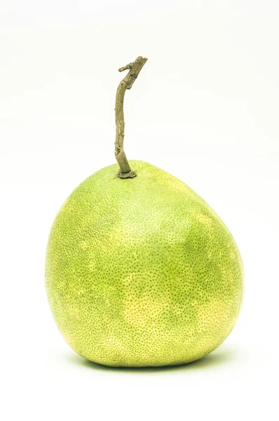 Beyaz backg izole pomelo (narenciye maxima veya narenciye grandis)