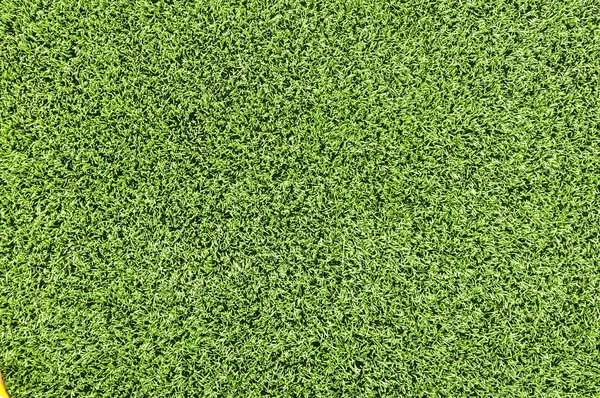 Green grass background texture. — Stock Photo, Image