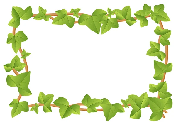 Ivy frame — Stockvector