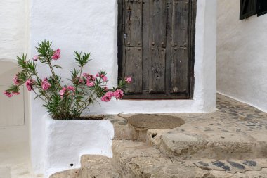 Pembe çiçekler eski bir kaldırım taşının girişini ahşap bir kapıyla süslüyor.