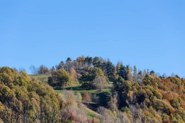 Sonbahar yeşillikleri bir tepenin tepesinde açık mavi bir gökyüzünde