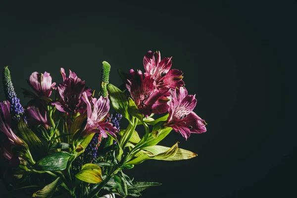 Purple Beautiful Flower Bloom Decoration Close Still Black Background — Stockfoto