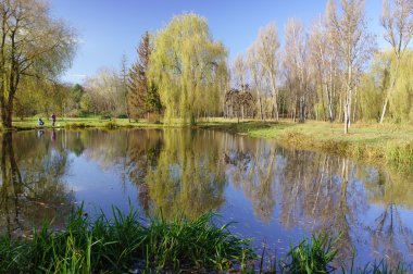 küçük gölet Park güneşli bir sonbahar