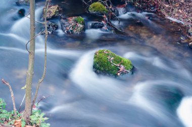 parkta küçük bir dere. uzun pozlama, pürüzsüz etkisi.