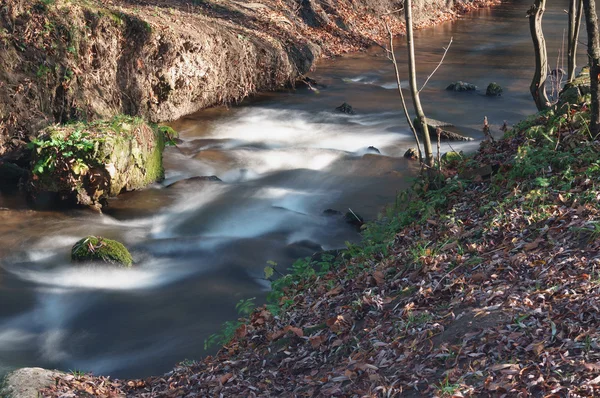 A small creek in the park. Long exposure, smooth effect. — Stock Photo, Image