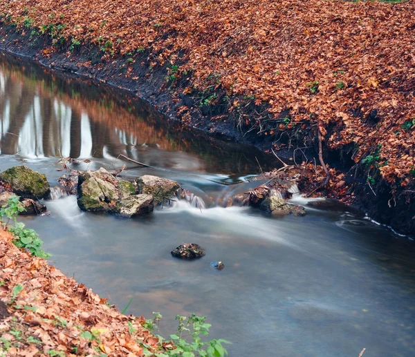 Un petit ruisseau dans le parc. Longue exposition, effet lisse . — Photo