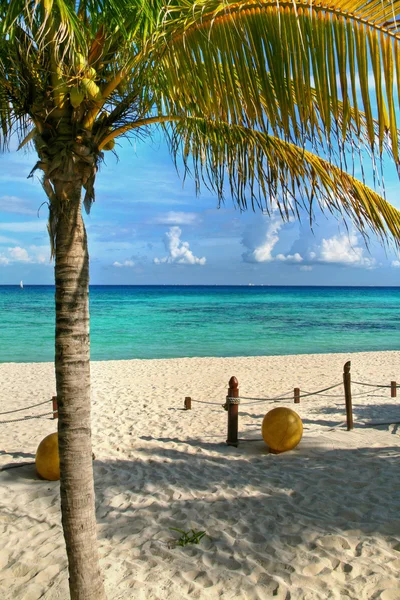 Playa del Carmen Plajı, Meksika — Stok fotoğraf