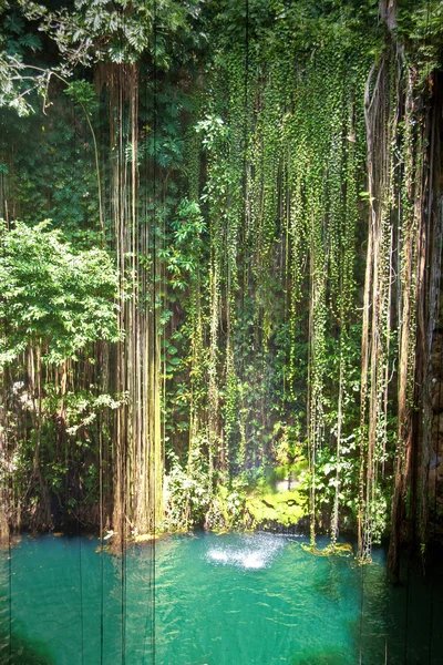 Cenote Ik Kil, Mexico — Stock Photo, Image