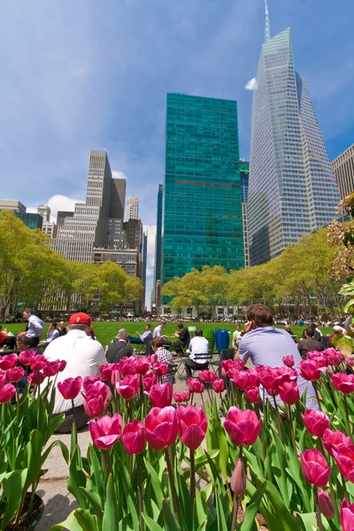 Bryant Park and buildings, New York City — Stock Photo, Image